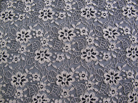 Azo Stretchable spazzolato floreale del pizzo dell'avorio elastico del tessuto che tinge liberamente CY-LW0652