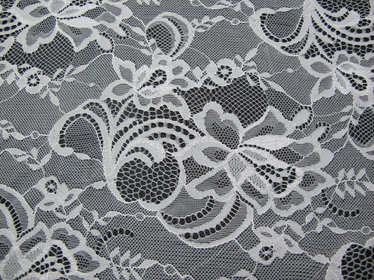 Floreale svizzero di nylon bianco del tessuto del pizzo tricottato con il pizzo del confine ed il bordo del pettine