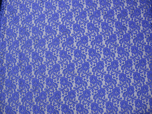 Mini floreale di Digital del tessuto di nylon blu del pizzo per signora Dress